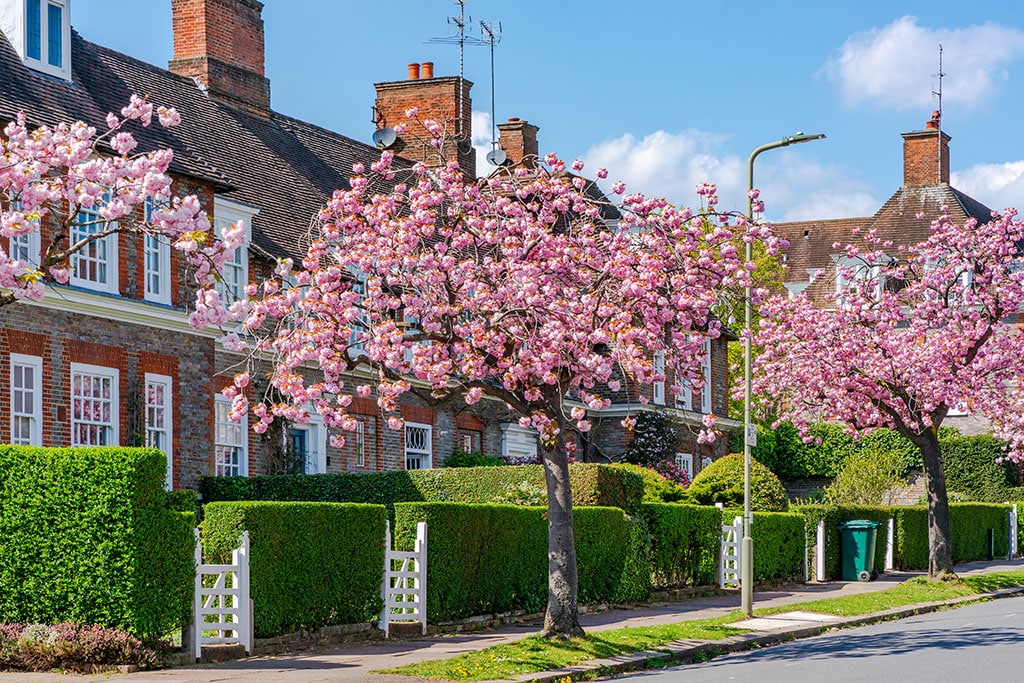Image showcasing Luxury Home Renovation Trends - CMR London